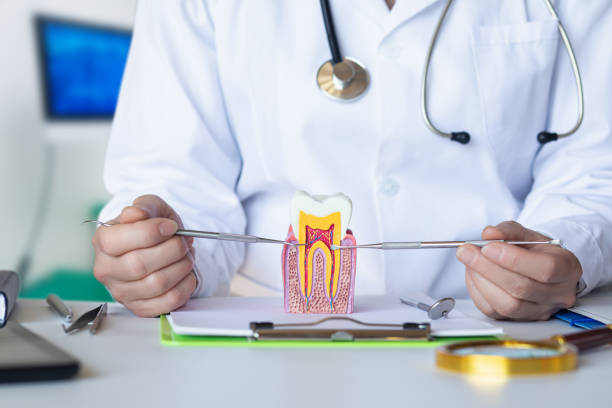 Best Root Canal Emergency Dentist  in Paloma Creek, TX